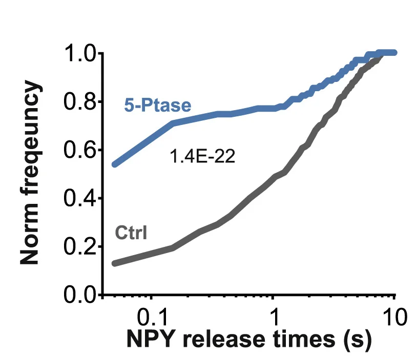 Plot showing: Line Plot, Line Step, NPY Release Times, Cumulative Histograms