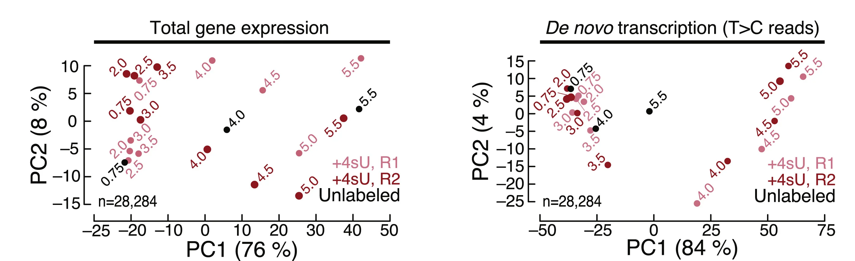 Plot showing: Scatter Plot, PCA, Principal Component Analysis, Control, SLAMseq