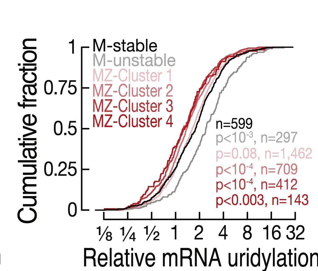 Plot showing: Line Plot, Line Step, Cumulative Distribution, mRNA 3' End Uridylation, ZGA