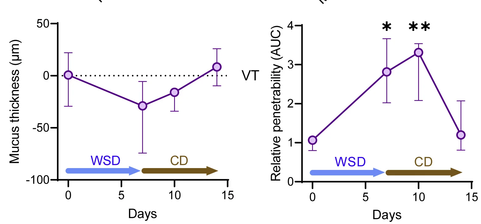 Plot showing: Line Plot, Error Bars, Mucus Thickness, Villus Tips, Barrier Function