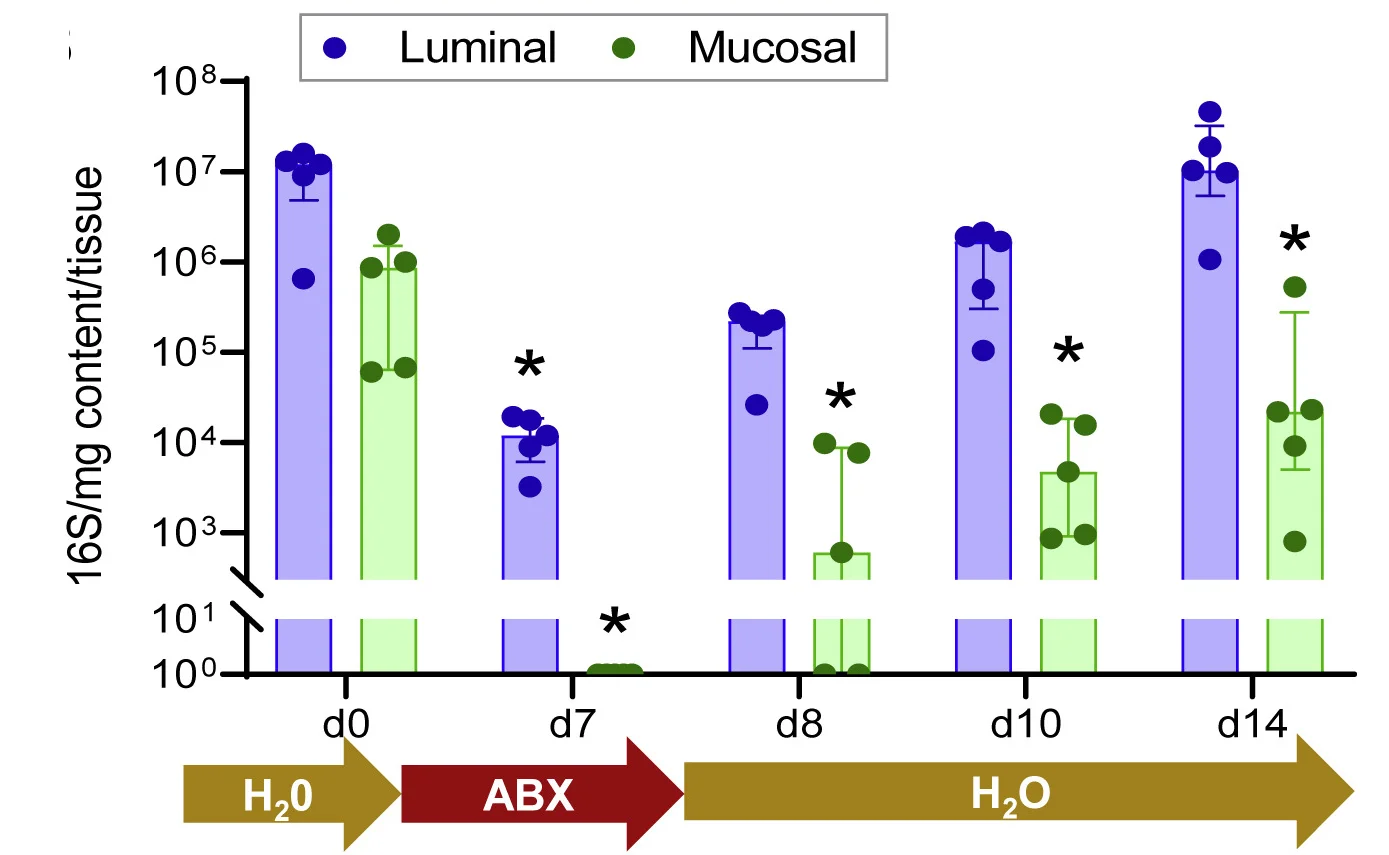 Plot showing: Bar Plot, Error Bars, Scatter Plot, SI5, Luminal Bacteria