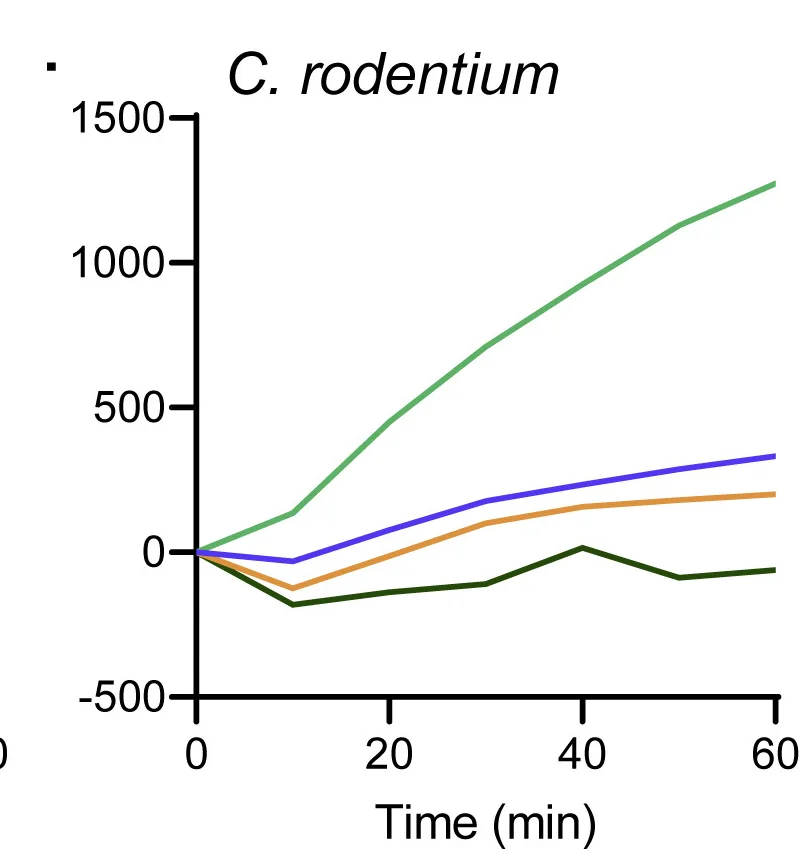 Plot showing: Line Plot, C.rodentium, Permeabilization, Polymyxin B, Soluble Mucus Protein