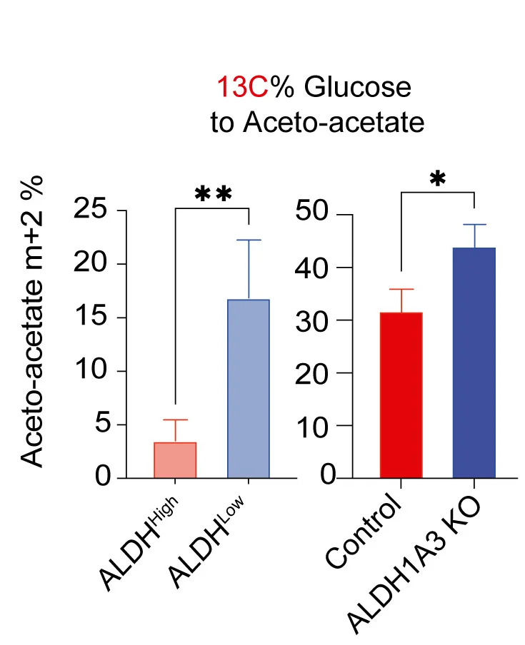 Plot showing: Bar Plot, Error Bars, Glucose, Pyruvate, TCA Cycle Metabolites