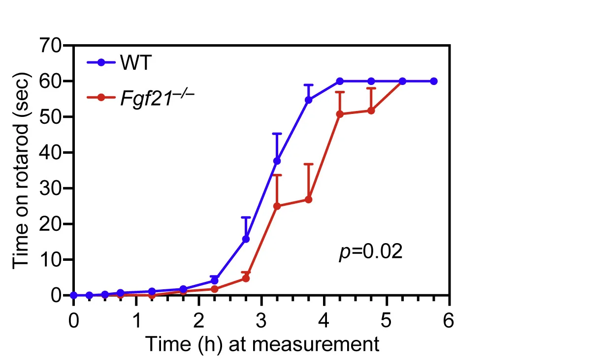 Plot showing: Line Plot, Error Bars, Wild-Type Mice, Fgf21−/− Mice, Ethanol