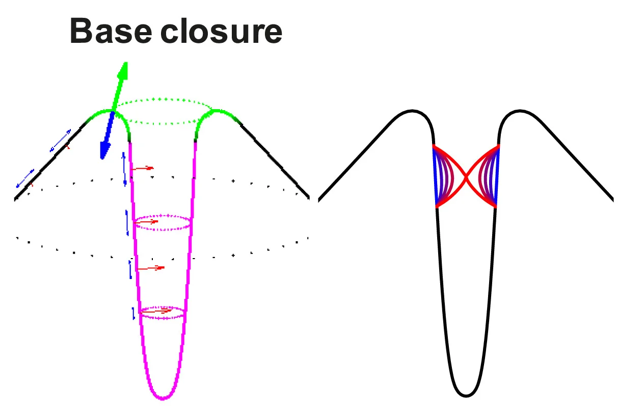Plot showing: Illustration, Membrane Tension, Base Closure, Macropinocytosis, Surface Area Minimization