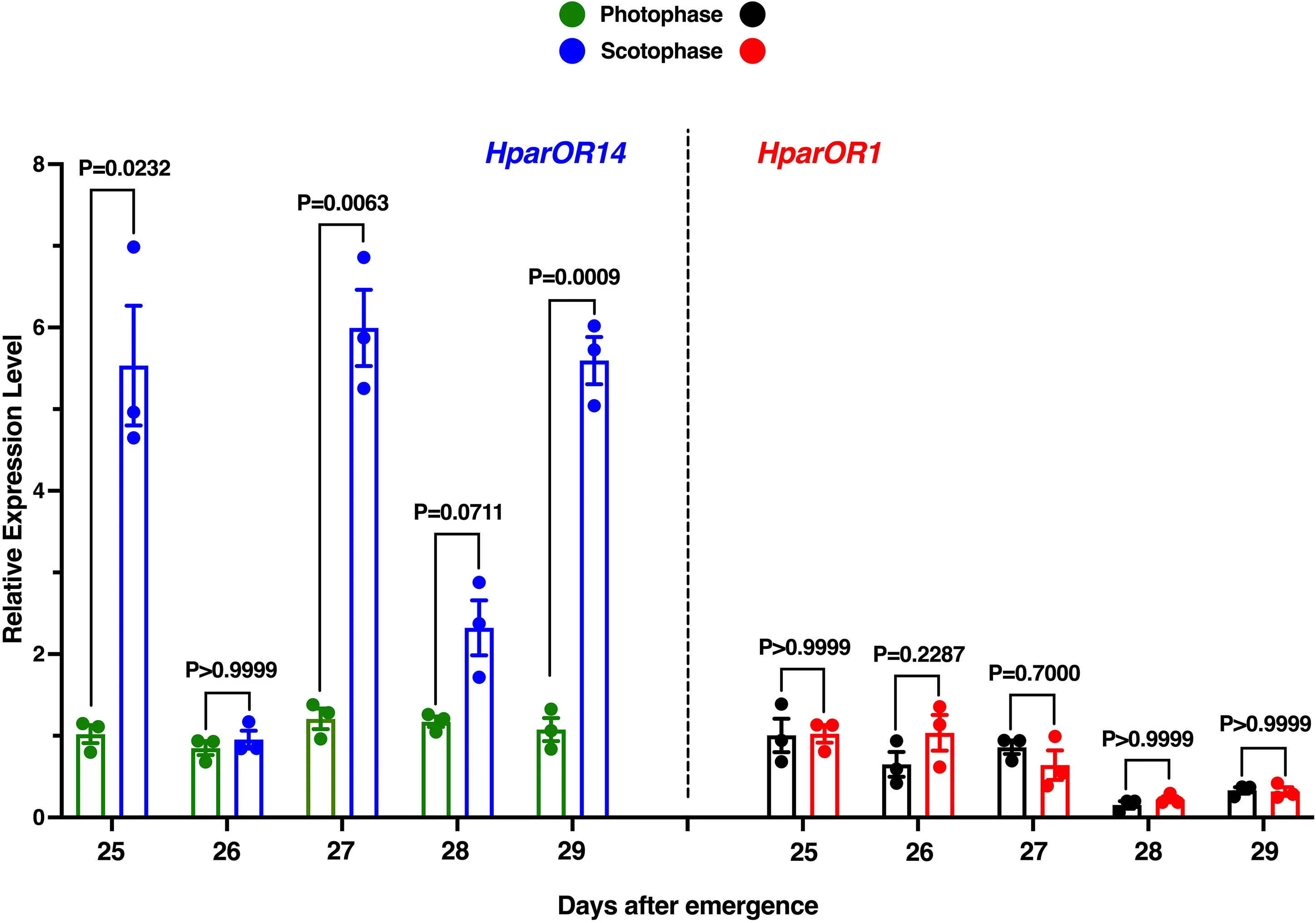Plot showing: Bar Plot, Error Bars, Scatter Plot, Transcript Levels, Photophase