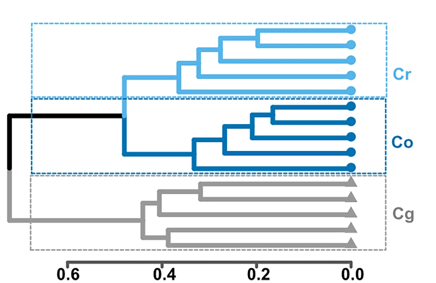 Plot showing: Line Step, Clustering Cladogram, Bray-Curtis Dissimilarities, Volatile Compounds