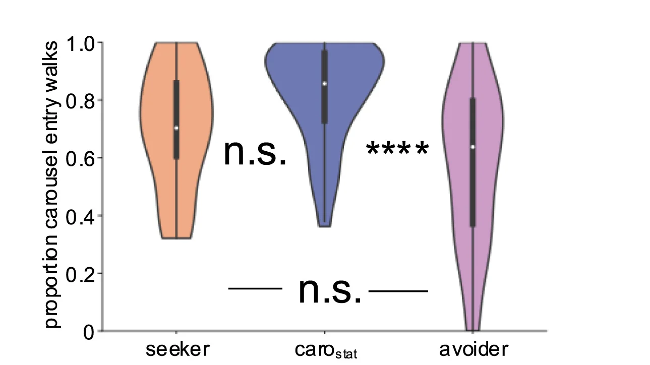 Plot showing: Violin Plot, Carousel Entry Events, Ring Walks, Seeker Flies, Stationary Carousel Flies