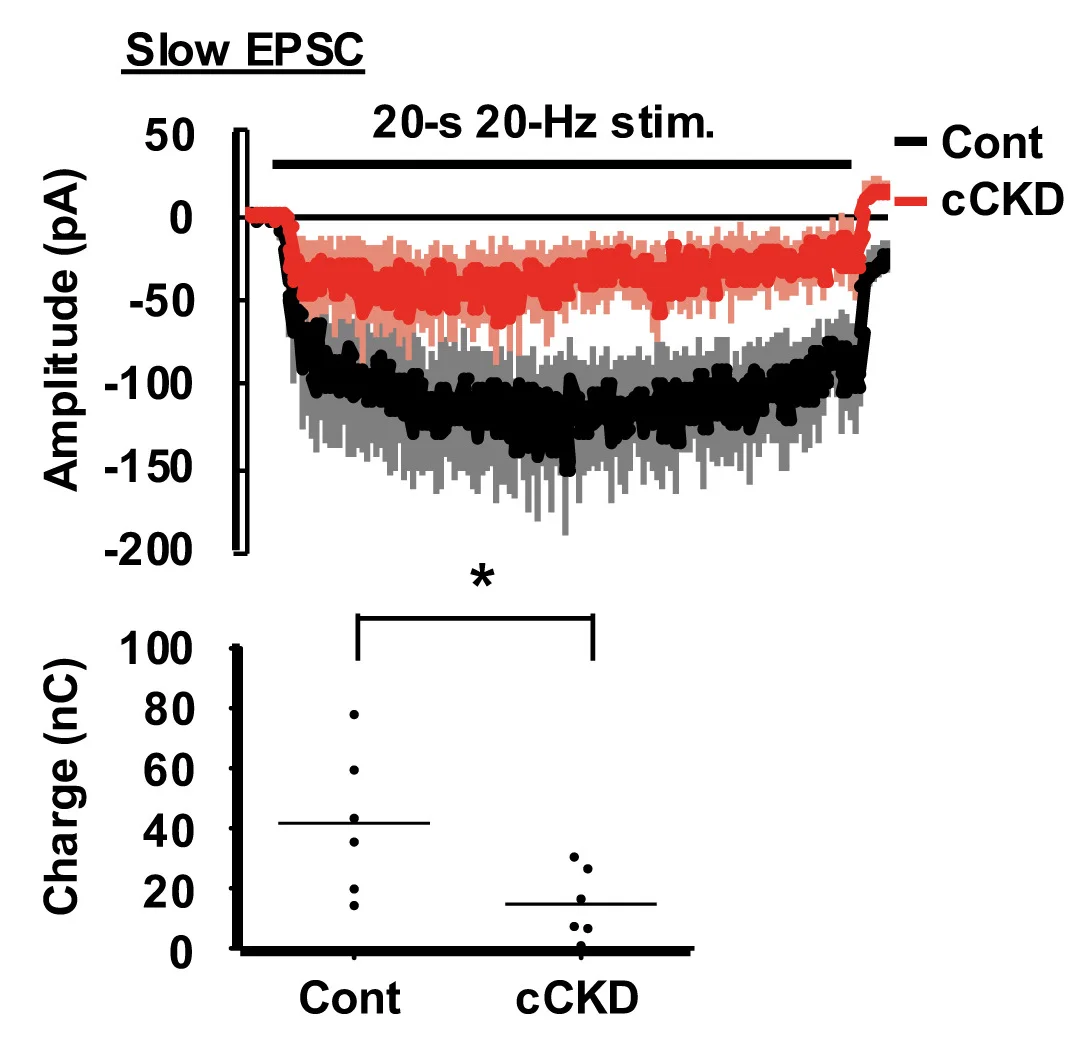 Plot showing: Line Plot, Scatter Plot, EPSCs, Slow Components, Control
