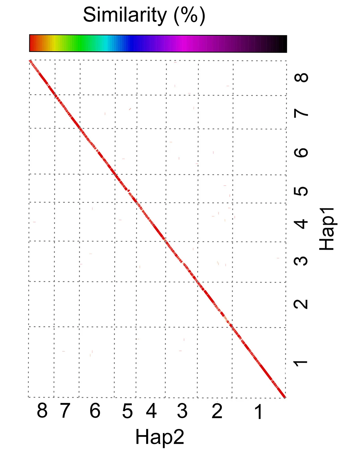 Plot showing: Heatmap, Genomic Synteny, Genome