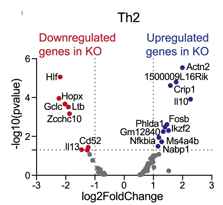 Plot showing: Volcano Plot, Scatter Plot, Gene Comparison, Th2 Cells, Mice