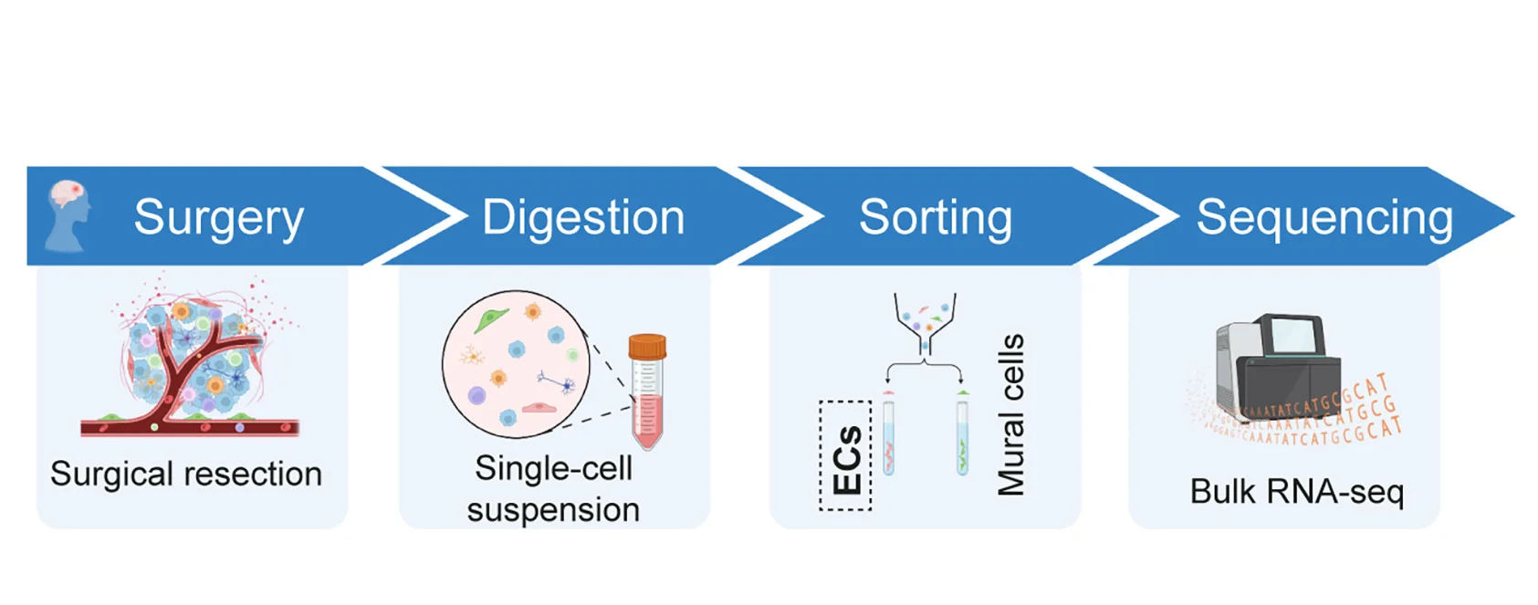 Plot showing: Workflow, Flowchart, Illustration, Clinical Sample, Processing Pipeline