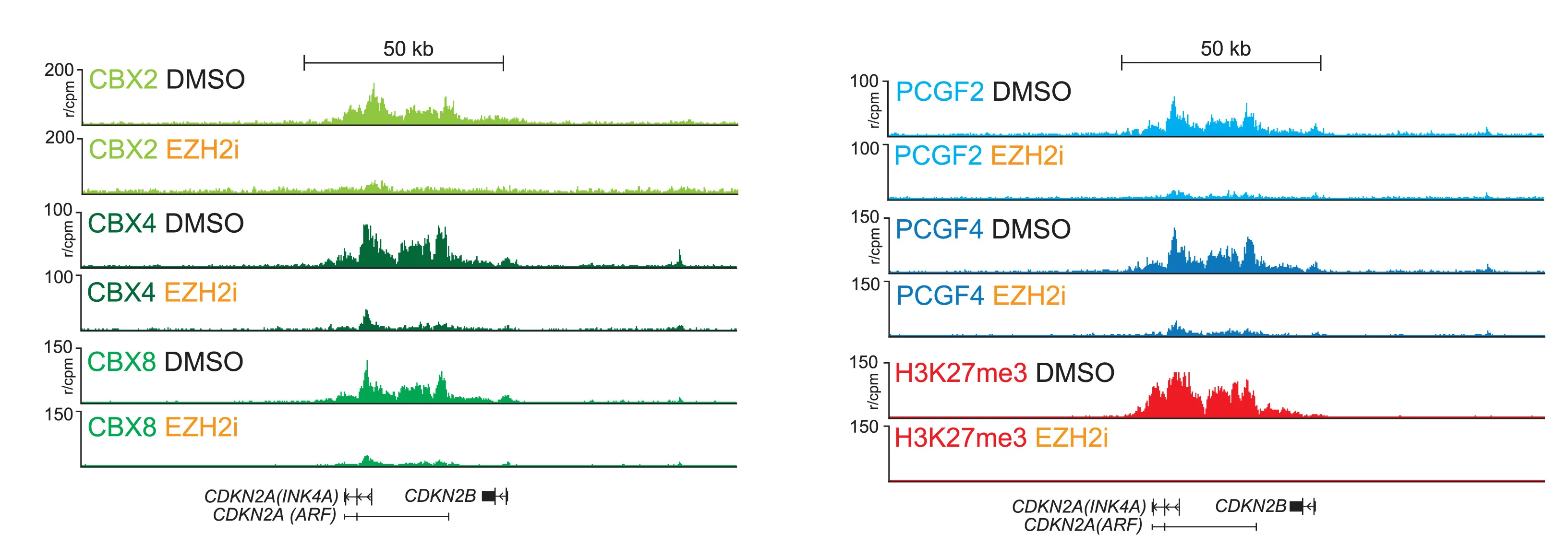 Plot showing: Line Plot, Genomic Tracks, CBX2, CBX4, CBX8