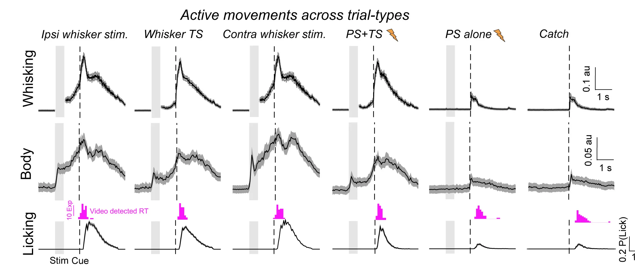 Plot showing: Line Plot, Error Bars, Histogram, Contralateral Whisking, Body Movement