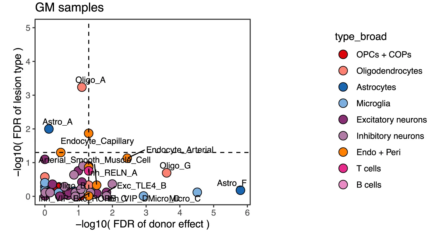 Plot showing: Scatter Plot, Cell Type Abundance, Lesion, Patient, Gray Matter