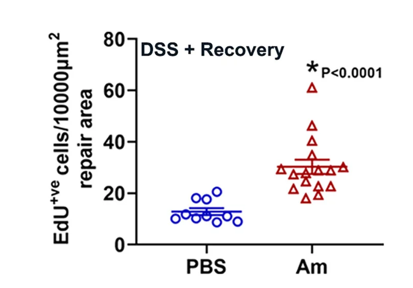 Plot showing: Scatter Plot, Edu, Mice, Recovery Areas