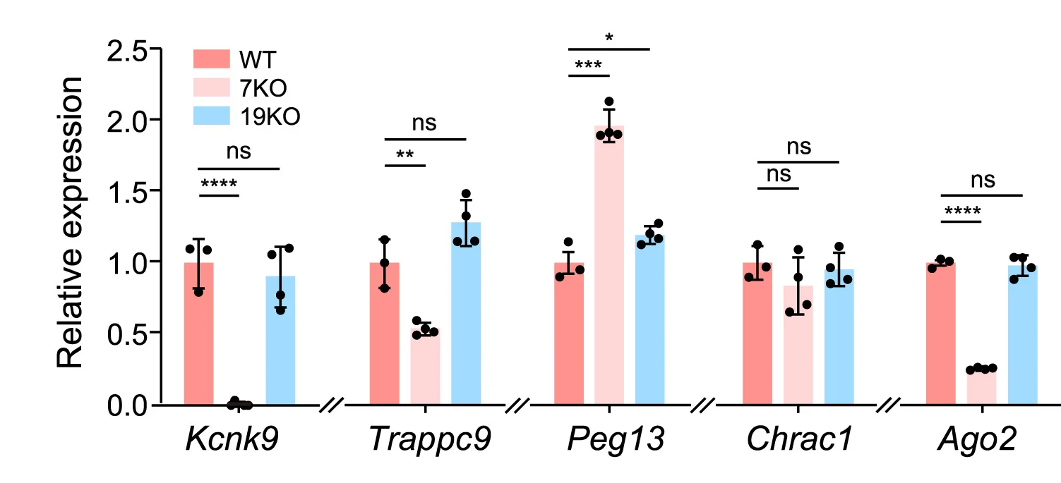 Plot showing: Bar Plot, Error Bars, Clustered, Gene Expression, Imprinted Gene
