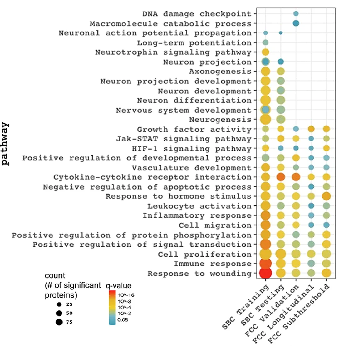 Plot showing: Bubble Plot, Activated Pathways, Inhibited Pathways, CAPS Total Current, PCL Scores