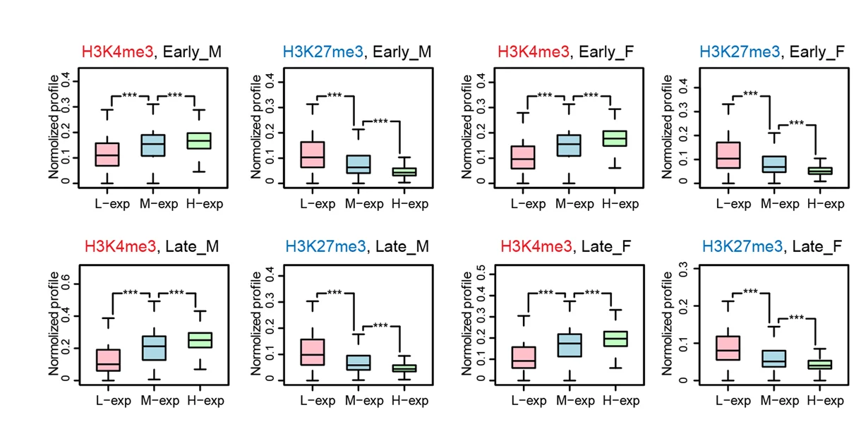 Plot showing: Box Plot, Boxplots, H3K4me3, H3K27me3, Gene Promoters