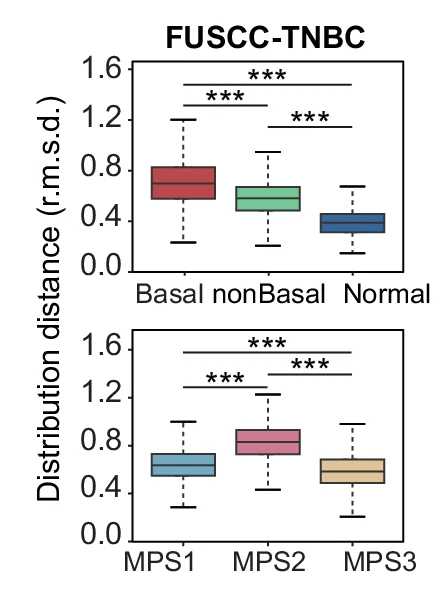 Plot showing: Box Plot, Spliceosome Gene Expression, Basal Tumors, Non-Basal Tumors, Normal Tissues