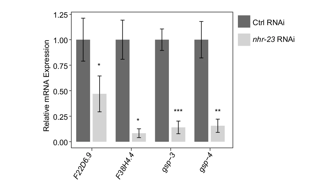 Plot showing: Bar Plot, Error Bars, Clustered, qPCR Analysis, Phosphatases