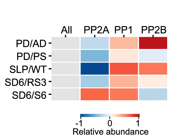 Plot showing: Heatmap, Relative Abundances, Substrates, Phosphatases, Sleep