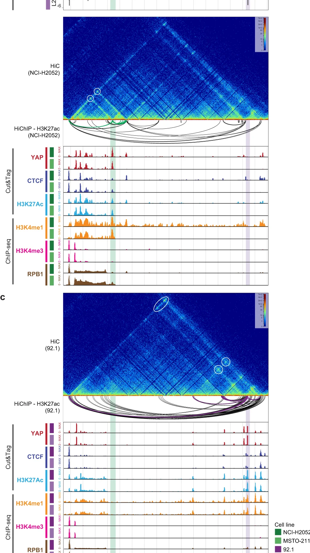 Plot showing: Heatmap, Line Plot, HiC, HiChIP-H3K27ac, Cut&Tag