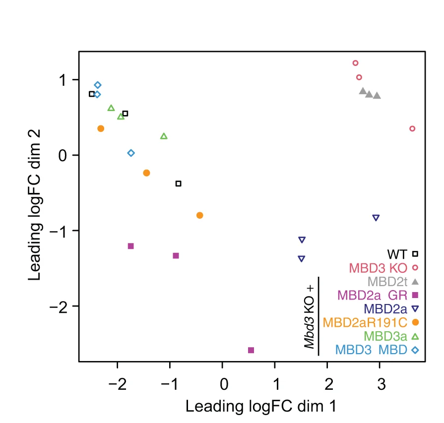 Plot showing: Scatter Plot, Multi-Dimensional Scaling, MDS Plot, RNA-seq, NPC