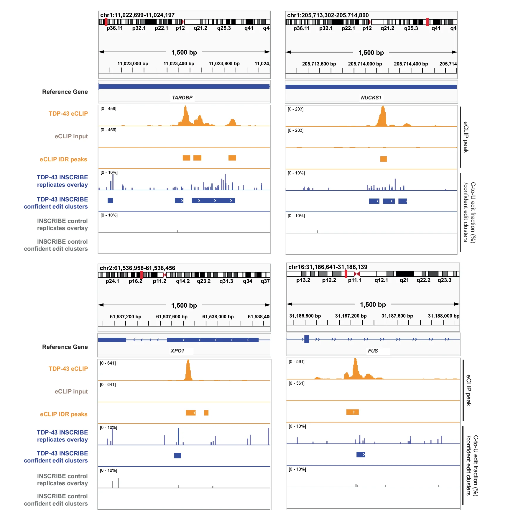 Plot showing: Line Plot, Bar Plot, Integrative Genome Viewer, IGV, RBFOX2