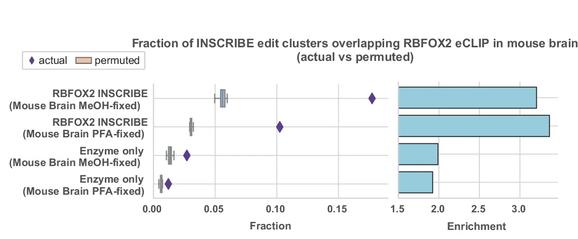 Plot showing: Bar Plot, Box Plot, Scatter Plot, Mouse Brain, eCLIP