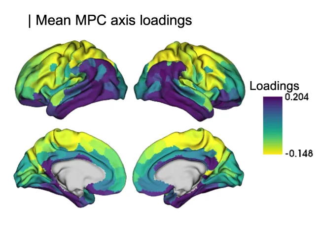 Plot showing: 3D Plot, Protein Structure, MPC Axis Loadings, Sensory Regions, Paralimbic Regions