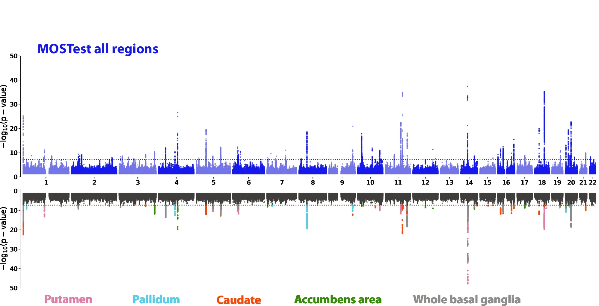 Plot showing: Manhattan Plot, Scatter Plot, Miami Plot, GWAS, Basal Ganglia