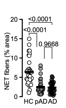 Plot showing: Scatter Plot, Error Bars, Schematic, Human Brain, TSPO-PET