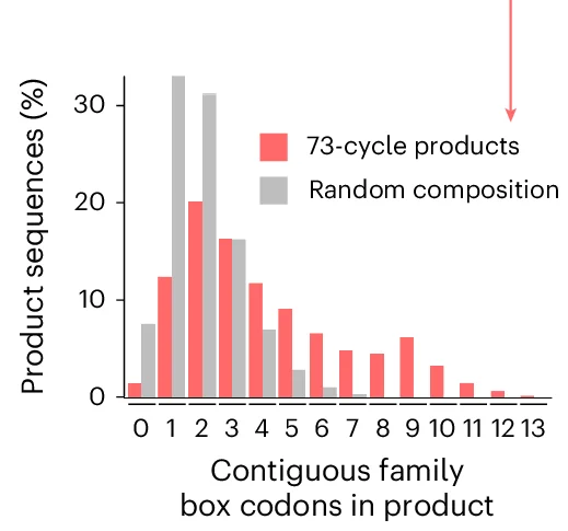 Plot showing: Bar Plot, Clustered, Histogram, In Silico Translation, Codon Set