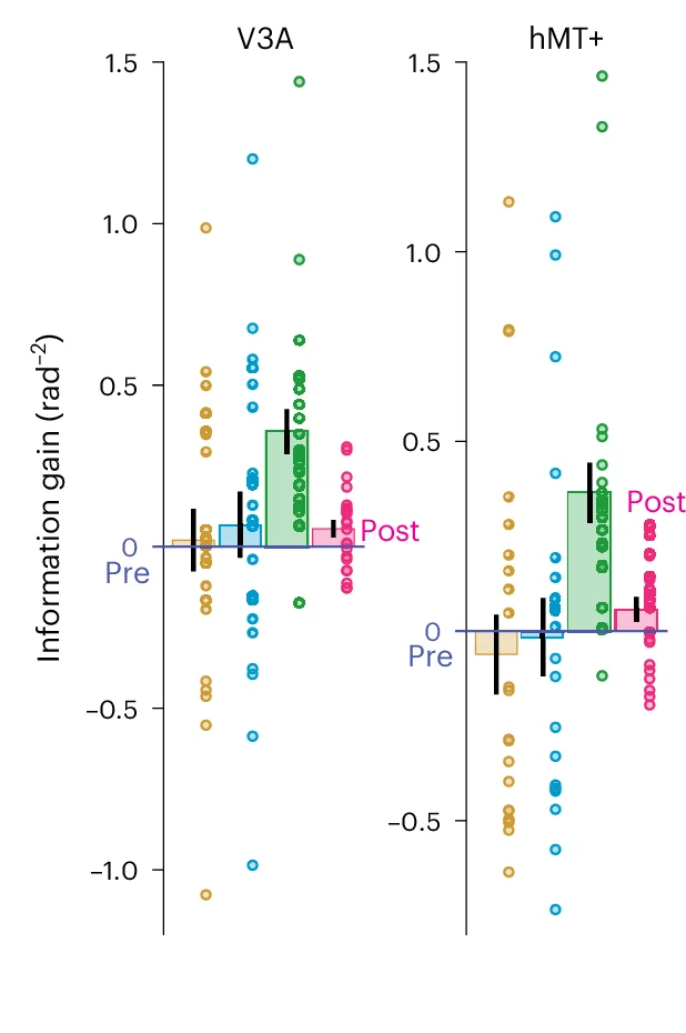 Plot showing: Scatter Plot, Error Bars, Bar Plot, Information Gain, DCNNs