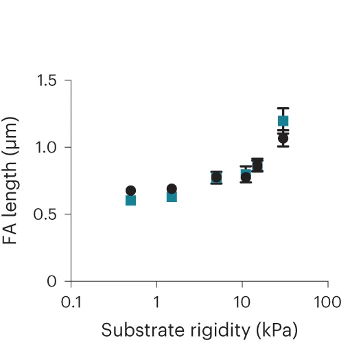 Plot showing: Line Plot, Error Bars, FA Length, MCF10A Cells, Integrin