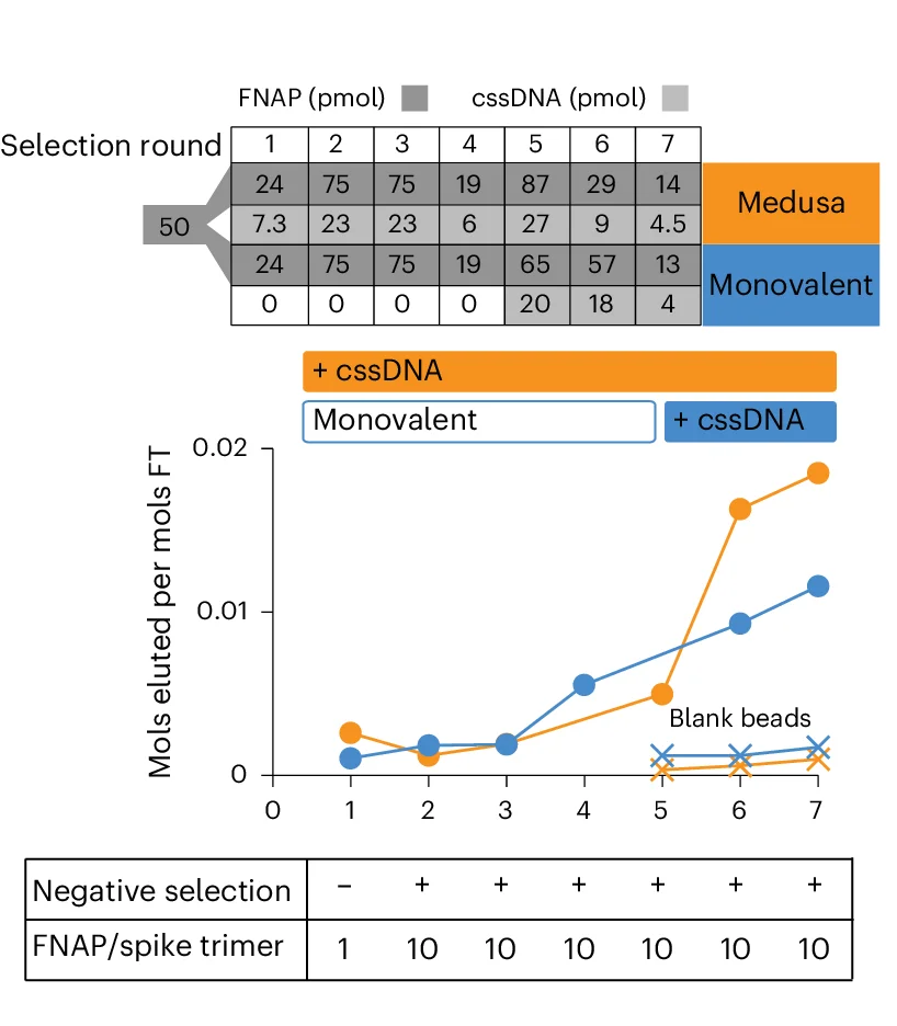 Plot showing: Line Plot, Table Image, Workflow, Spike-Binding Selection, Multivalent