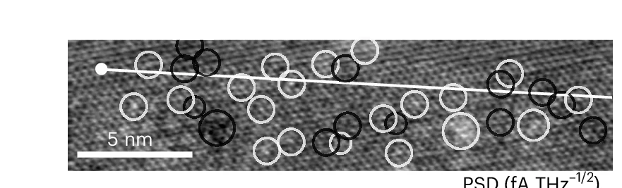 Plot showing: Microscopy, Constant-Current Topography, CDW Phase, Defects, Protrusions