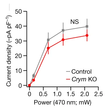 Plot showing: Line Plot, Error Bars, EPSCs, Light Pulses, Two-way Repeated Measures ANOVA