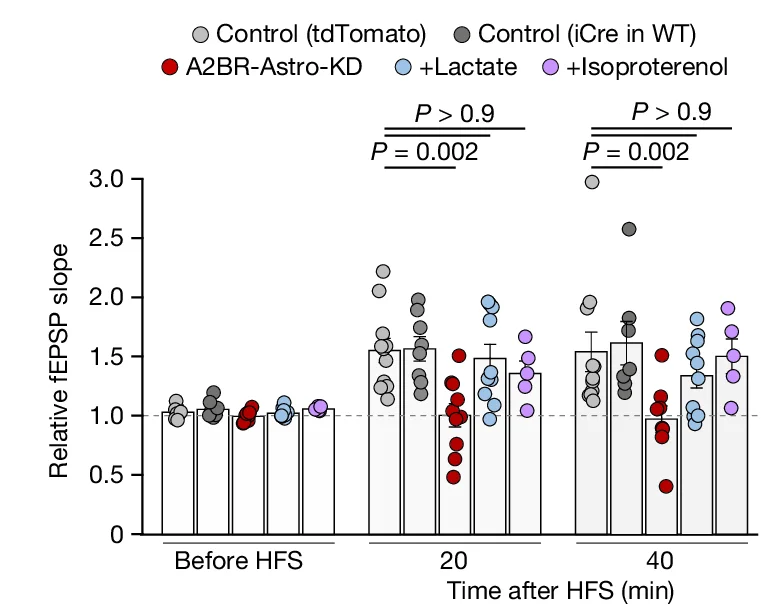 Plot showing: Bar Plot, Error Bars, Scatter Plot, Time Course, fEPSP
