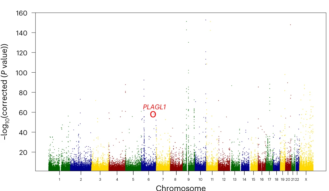 Plot showing: Manhattan Plot, Allele-Specific Methylation, Chromosomal Location, modC Levels, PLAGL1