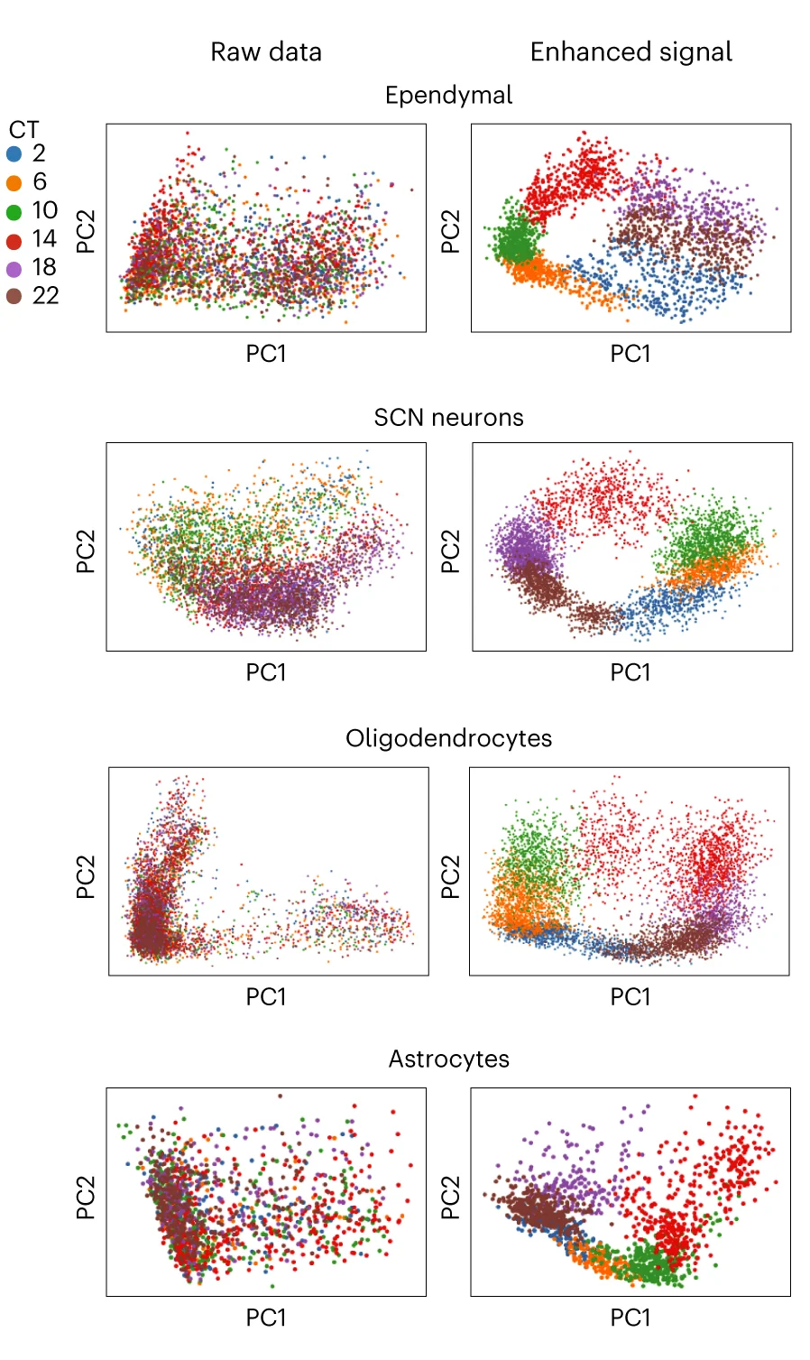 Plot showing: Scatter Plot, PCA, SCN Gene Expression Data, scPrisma, Ependymal Cells