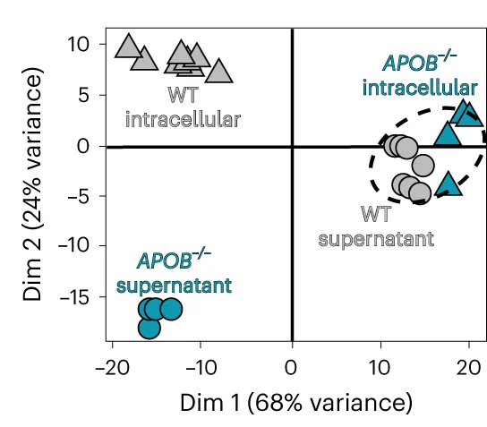 Plot showing: Scatter Plot, PCA, Neutral Lipids, Intracellular, Supernatant