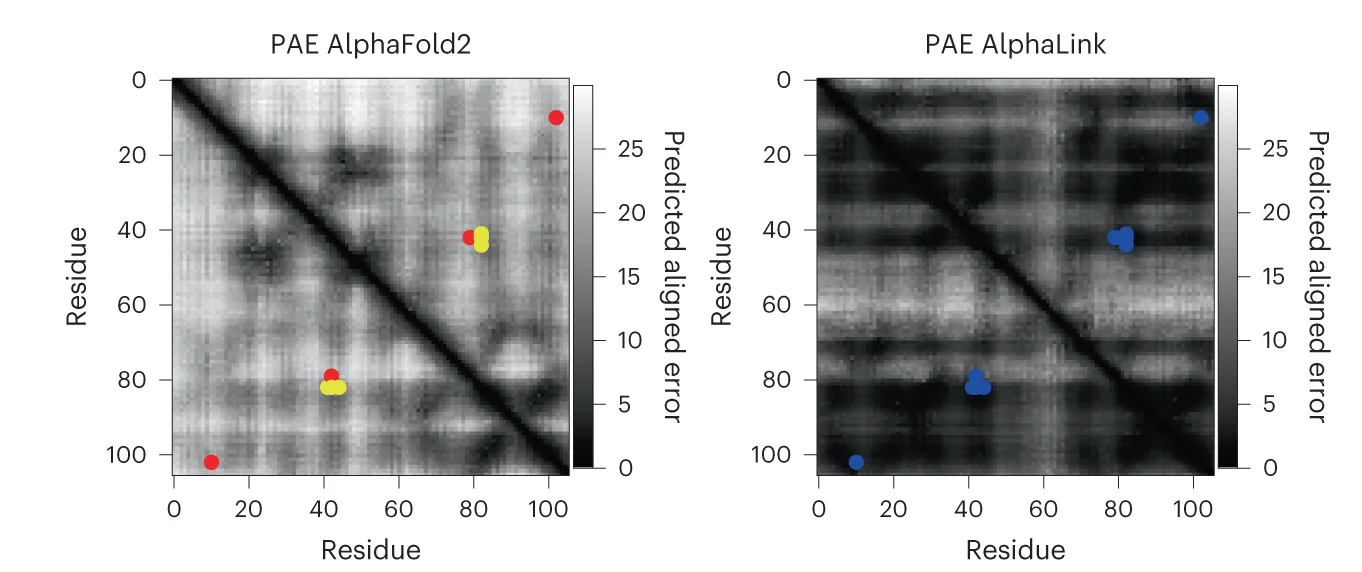 Plot showing: Heatmap, Scatter Plot, AlphaFold2, AlphaLink, Predicted Aligned Error