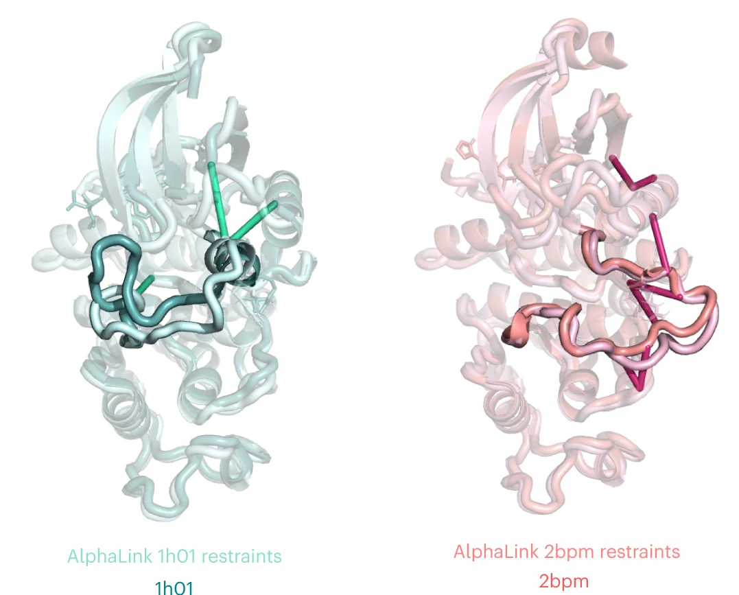 Plot showing: Protein Structure, AlphaLink, Crystal Structure, Cyclin A, Protein Conformation