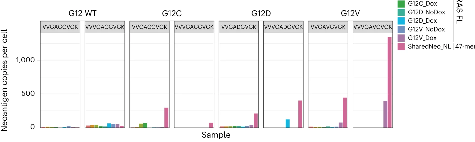 Plot showing: Bar Plot, KRAS, Neoepitopes, A*11:01 Monomers, Synthetic Neoepitope Peptides