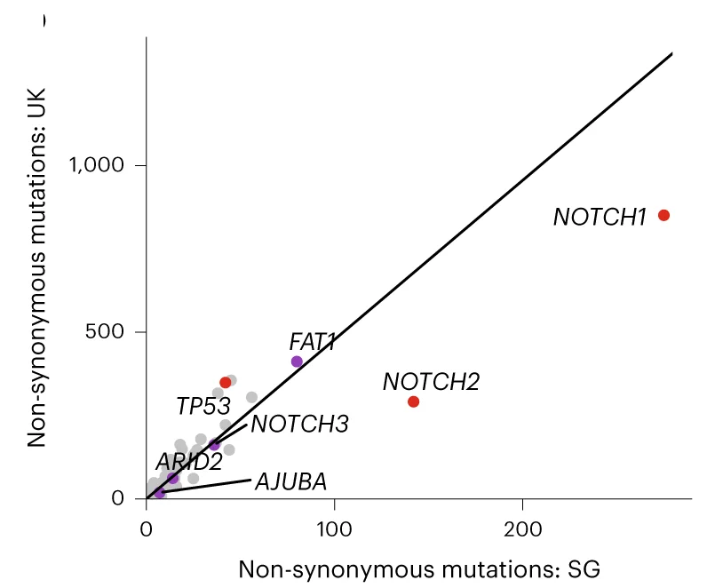 Plot showing: Scatter Plot, Non-synonymous mutations, Gene, Singapore, UK samples