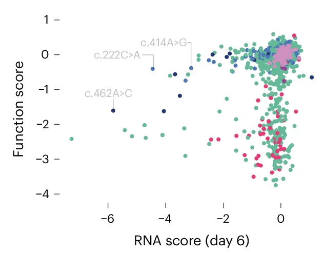 Plot showing: Scatter Plot, RNA Sequencing, VHL mRNA, Exonic SNVs, RNA Scores