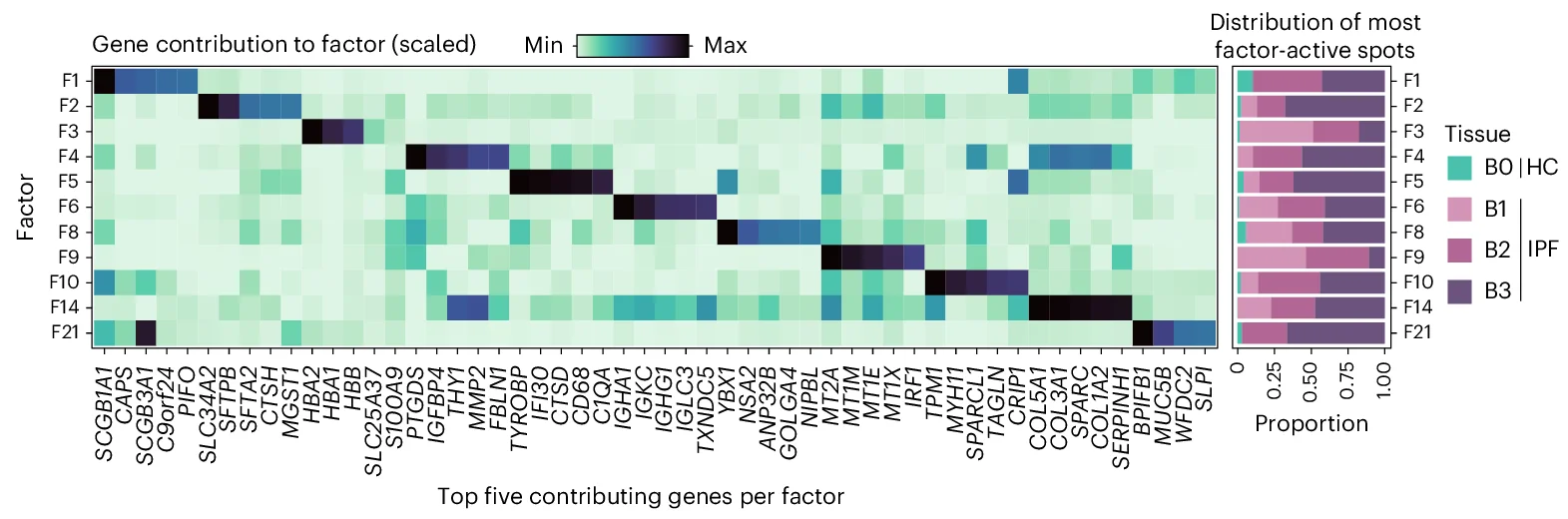 Plot showing: Heatmap, Stacked Bar Plot, NMF Signatures, IPF Tissue, Gene Expression