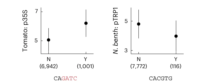Plot showing: Scatter Plot, Error Bars, Activity Distribution, Downstream Fragments, 6-mers